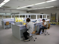 技工机 作業台 詳細ページへ